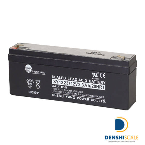 Pin sạc cân điện tử